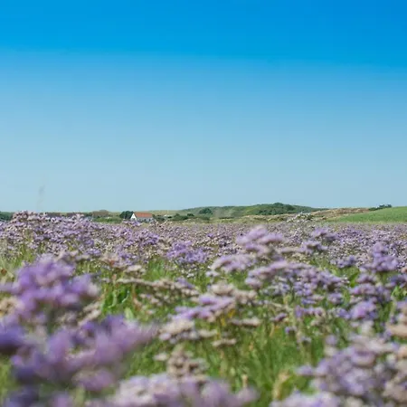 Am Suederloog Apartmán *