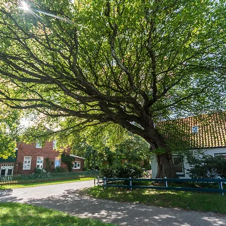 Apartmán Am Suederloog *